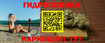 винт Донецк