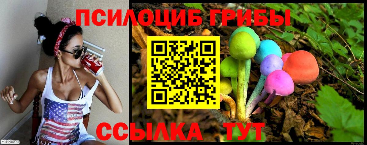 Миллерово  Галлюциногенные грибы GOLDEN TEACHER  Вход с VPN 